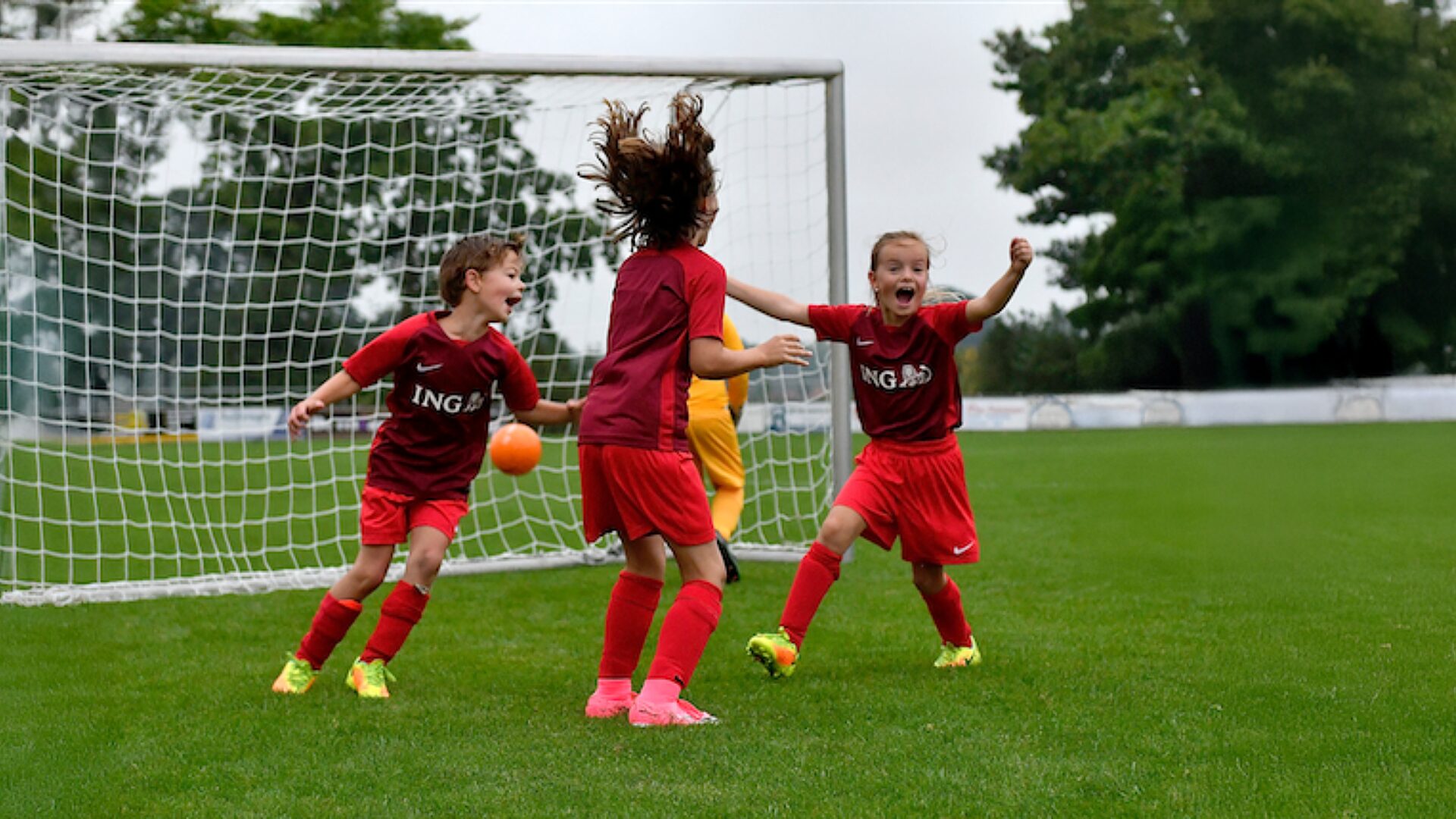 Pupillen ING landscape