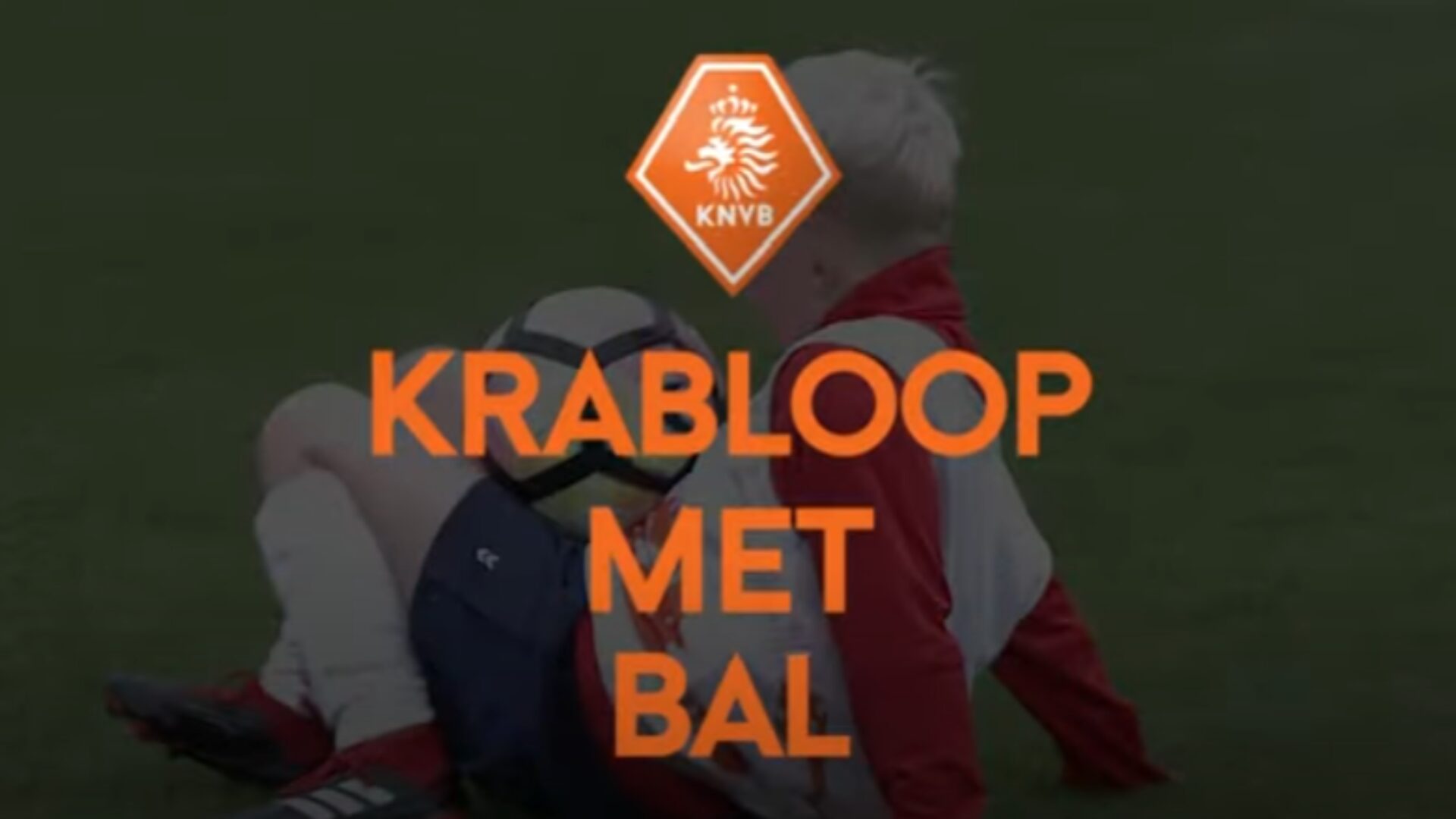 Hoe ziet deze oefening eruit?