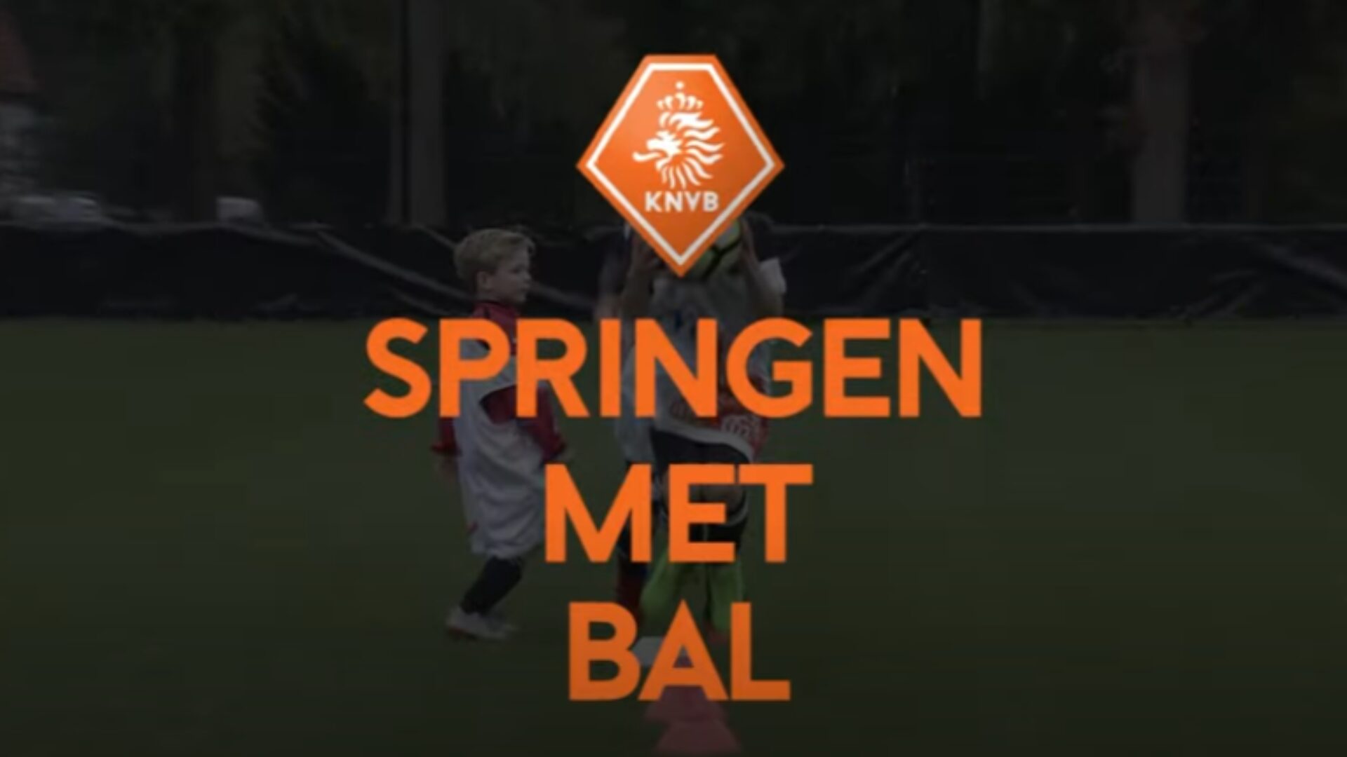 Hoe ziet deze oefening eruit?