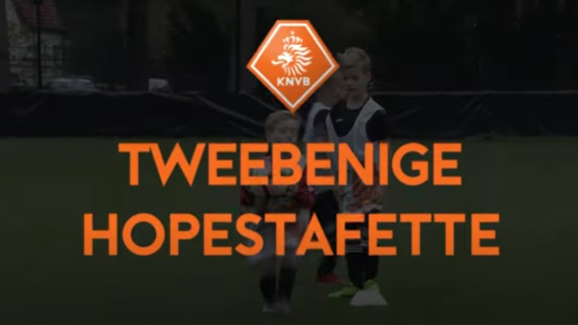 Hoe ziet deze oefening eruit?