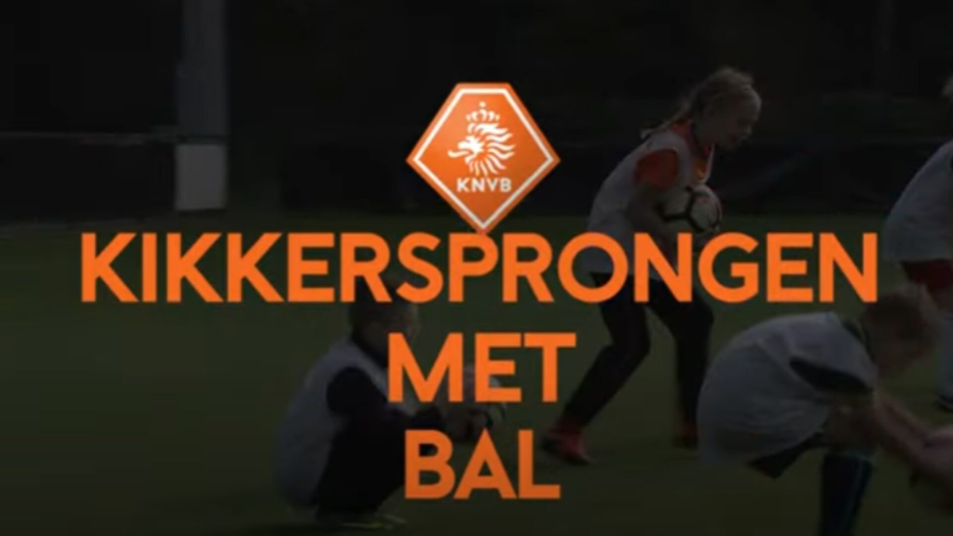 Hoe ziet deze oefening eruit?