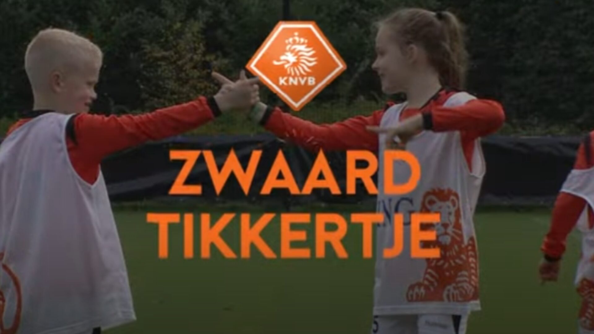 Hoe ziet deze oefening eruit?