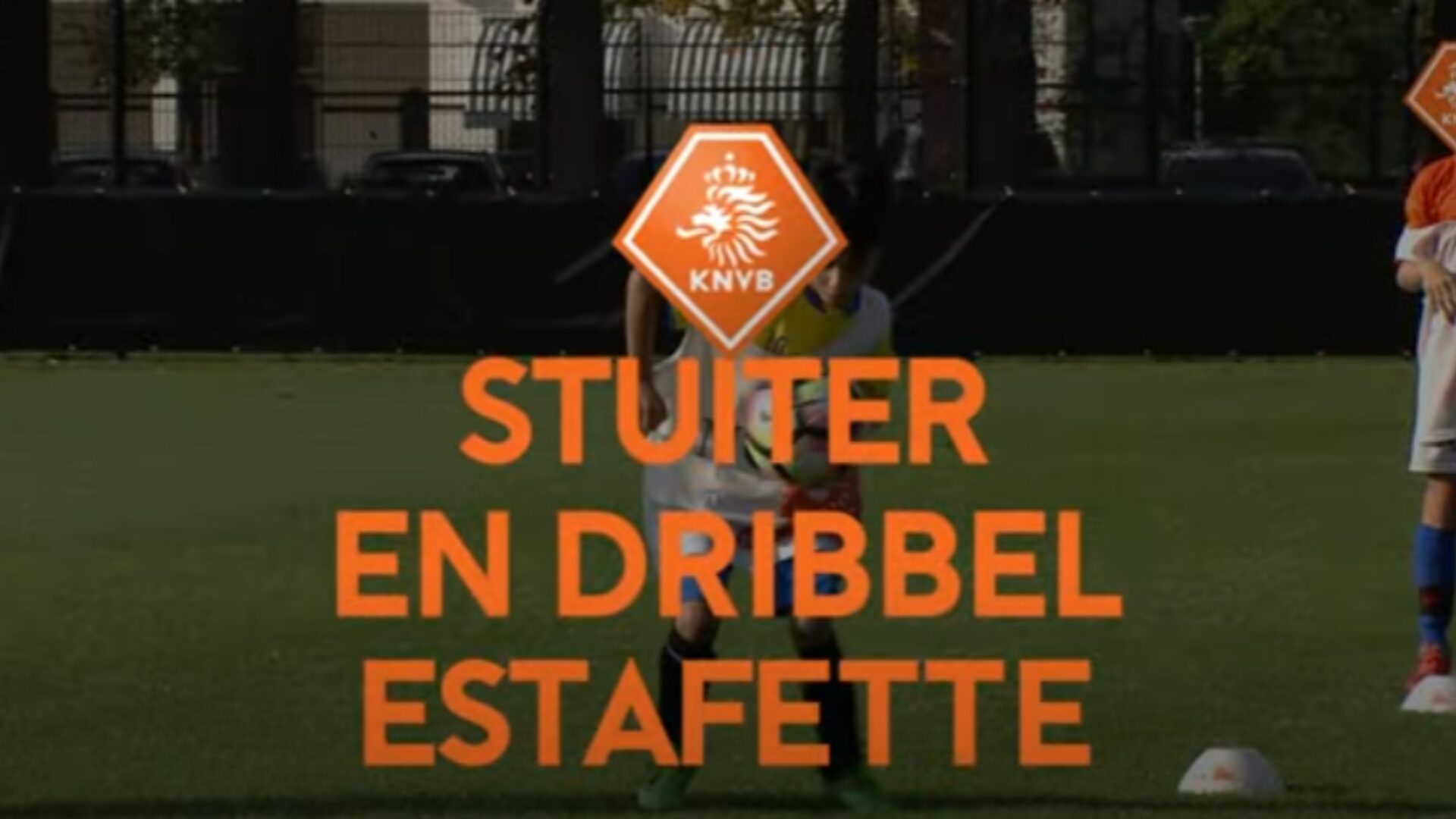 Hoe ziet deze oefening eruit?