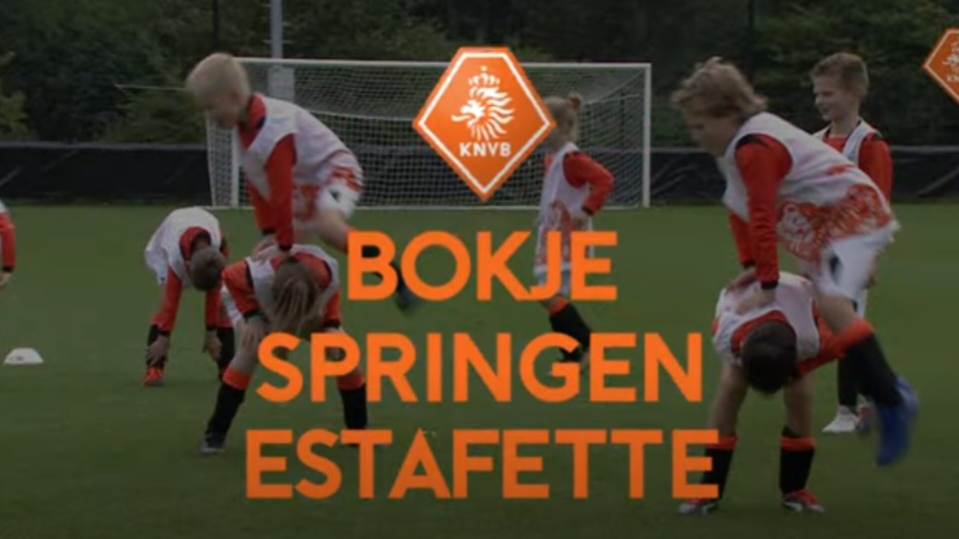 Hoe ziet deze oefening eruit?