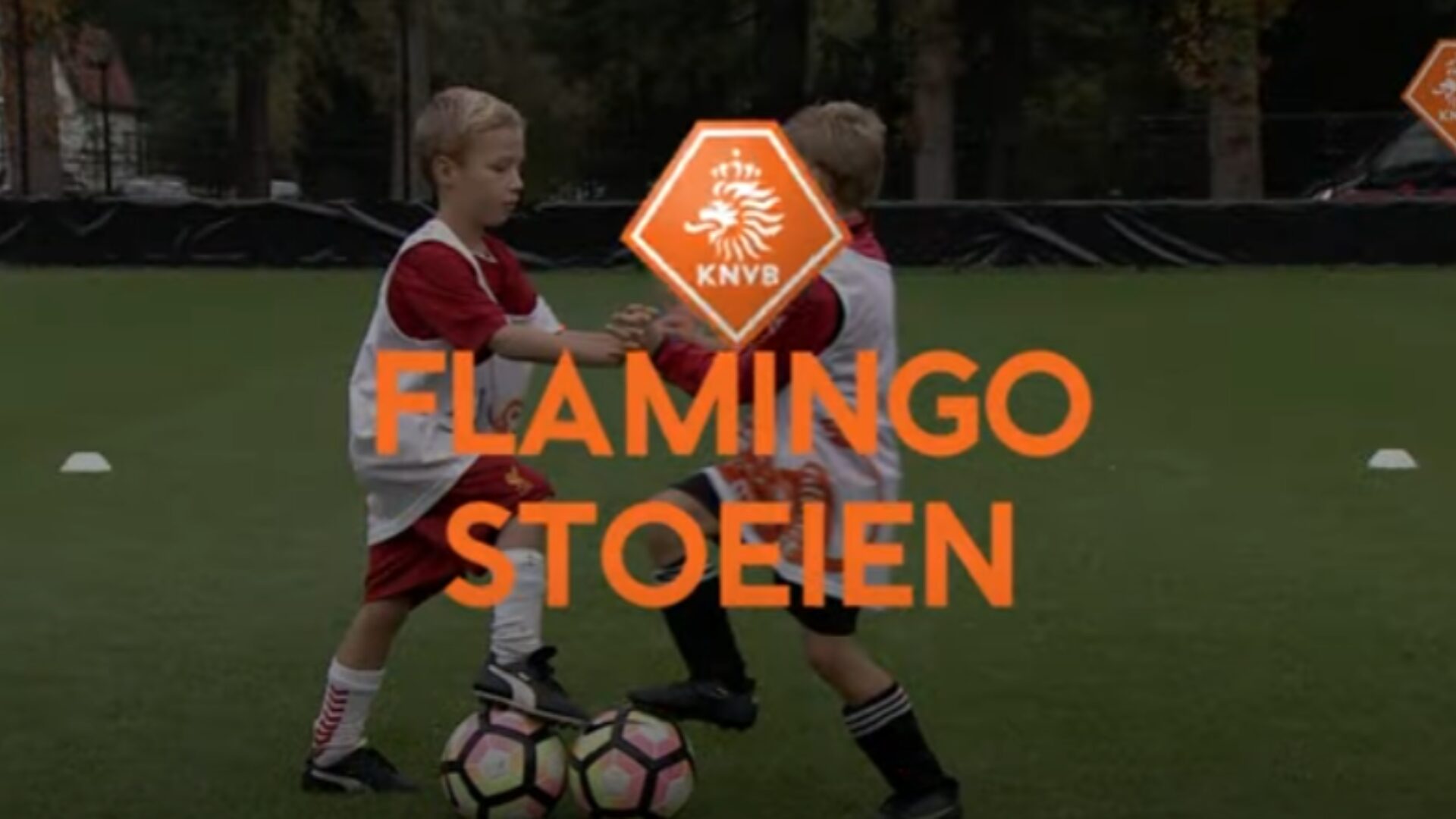 Hoe ziet deze oefening eruit?