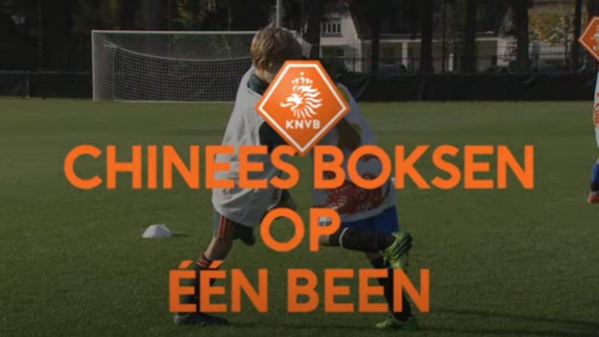 Hoe ziet deze oefening eruit?