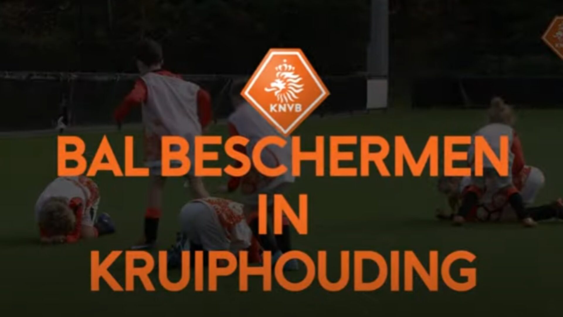 Hoe ziet deze oefening eruit?