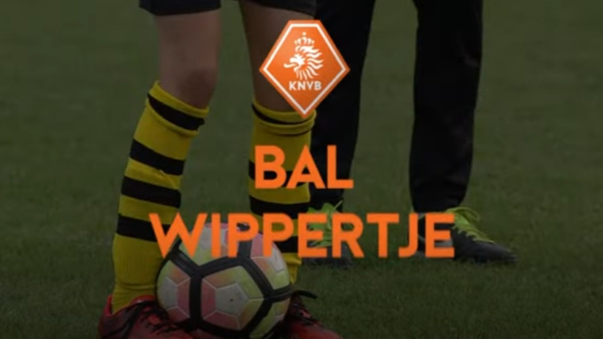 Hoe ziet deze oefening eruit?