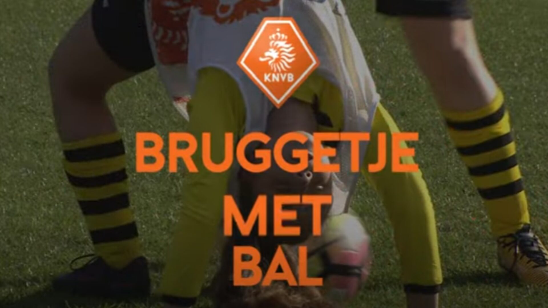 Hoe ziet deze oefening eruit?