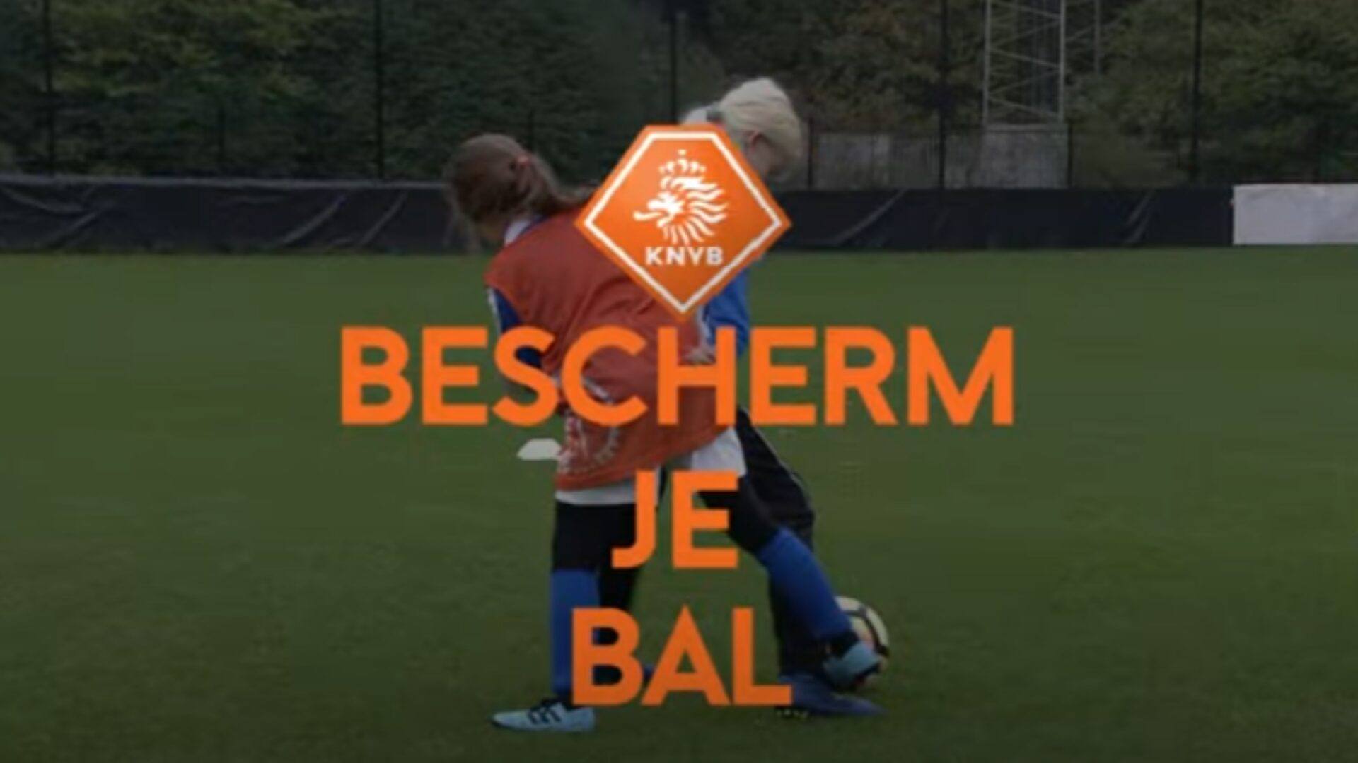 Hoe ziet deze oefening eruit?