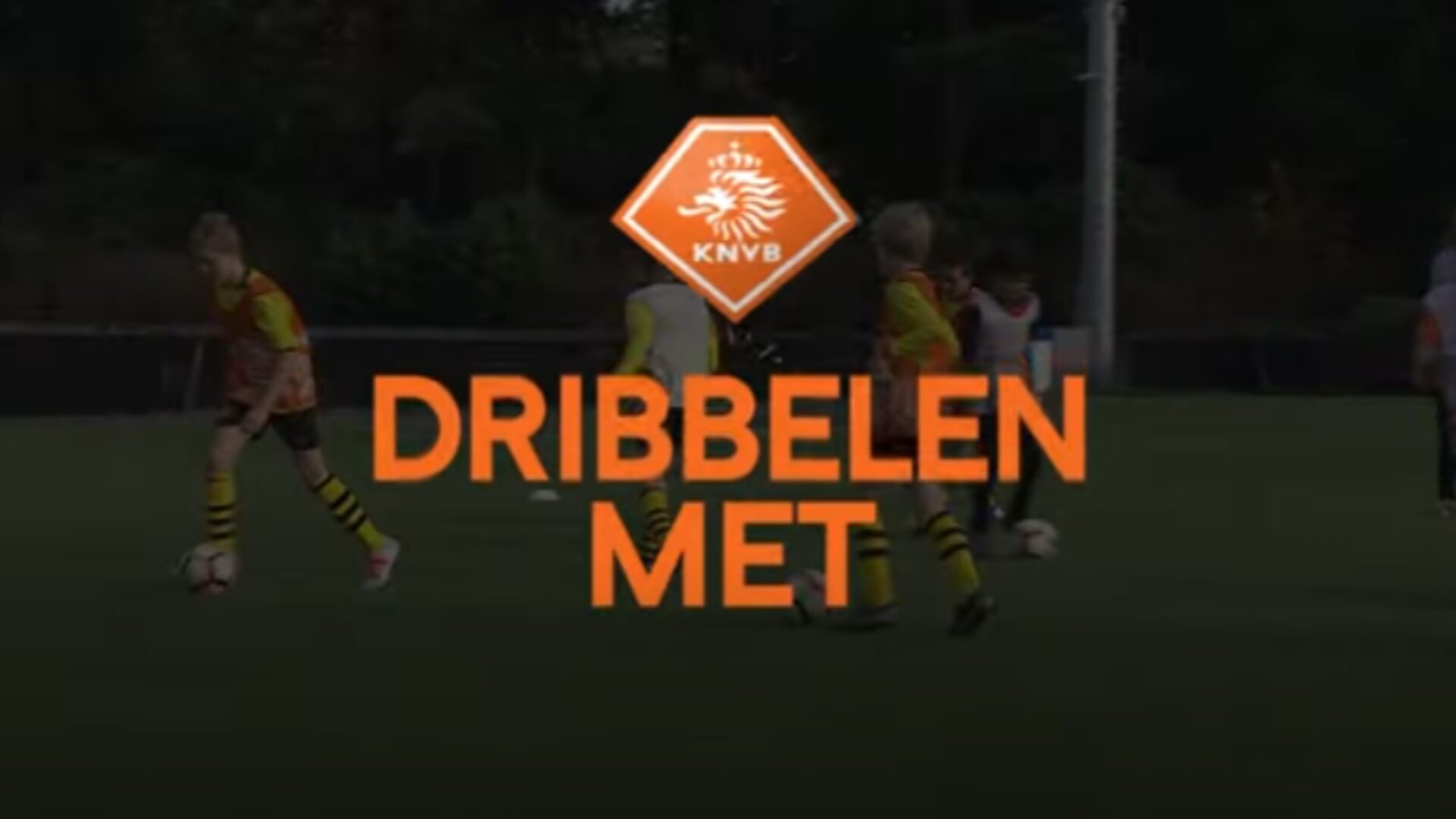 Hoe ziet deze oefening eruit?