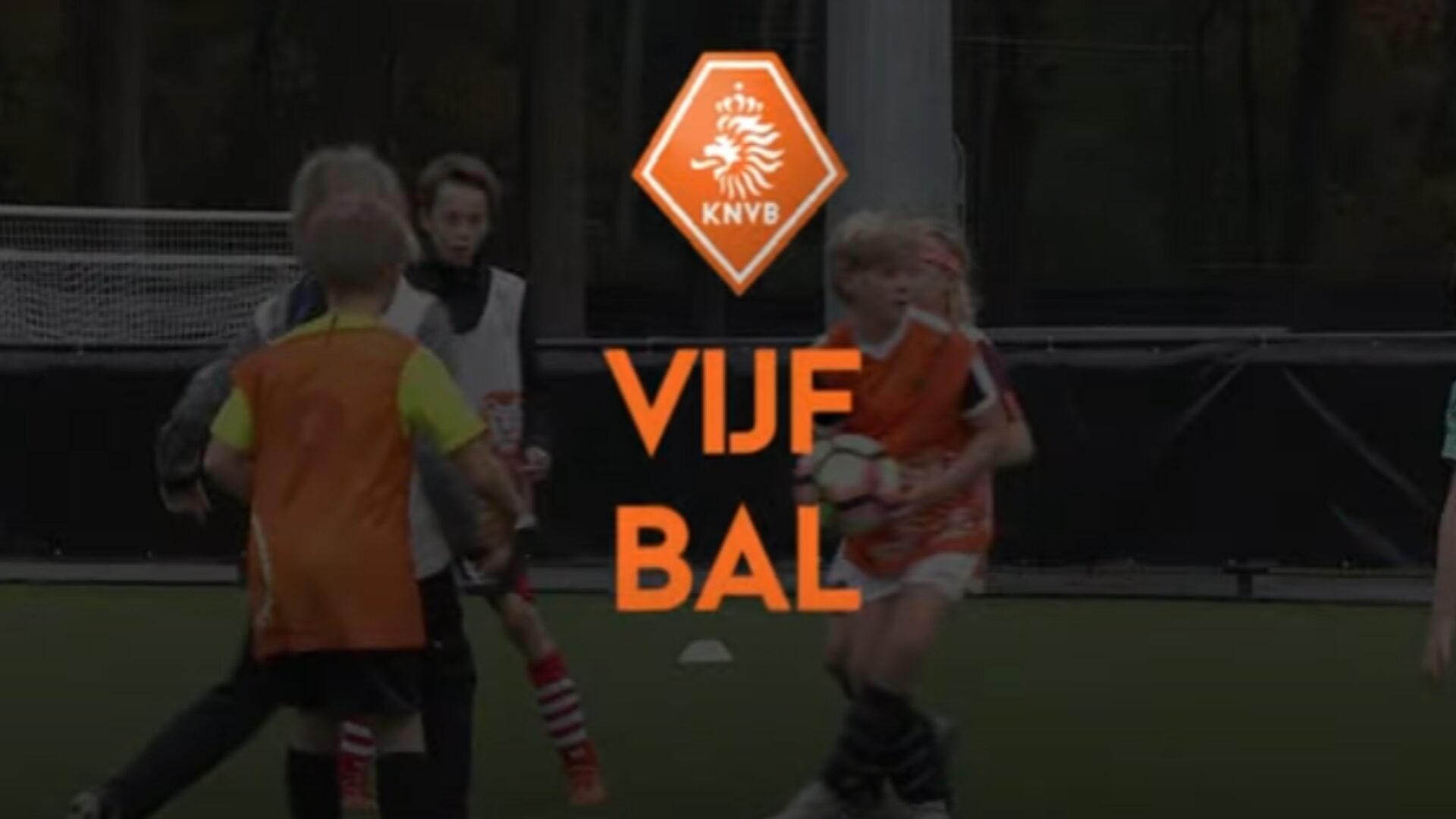 Hoe ziet deze oefening eruit?