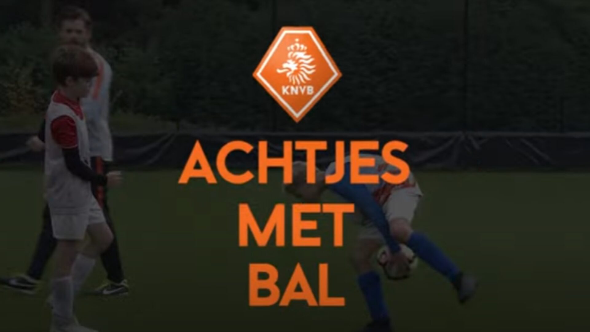 Hoe ziet deze oefening eruit?