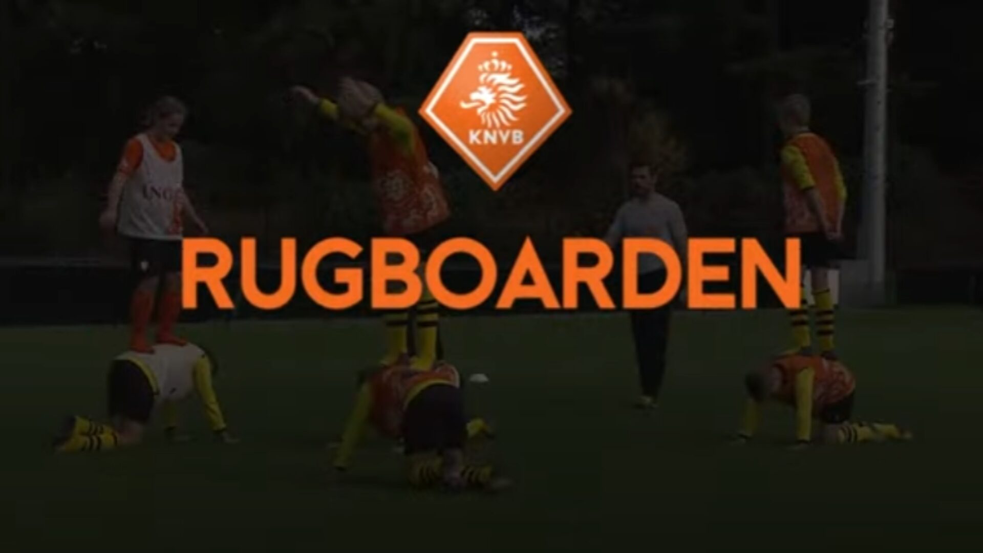 Hoe ziet de oefening eruit?