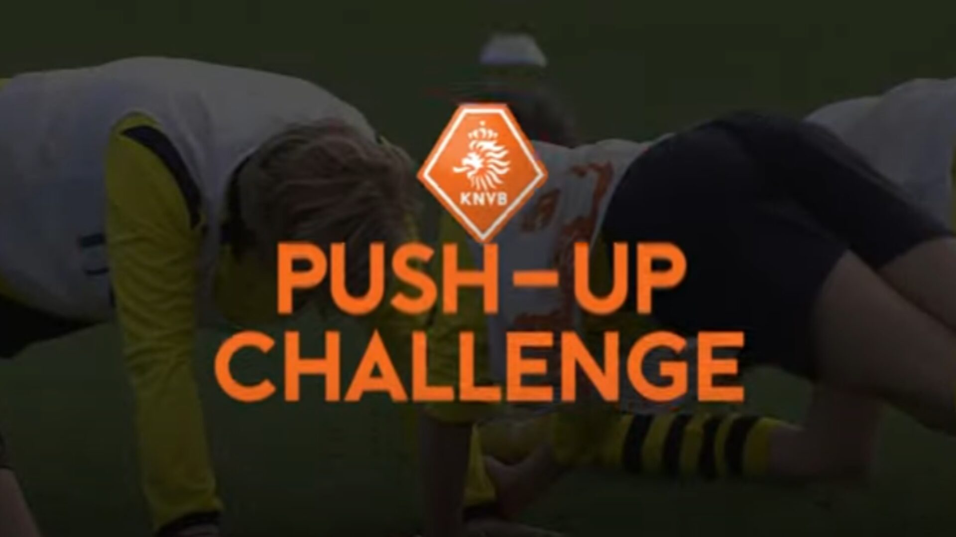 Hoe ziet de oefening eruit?