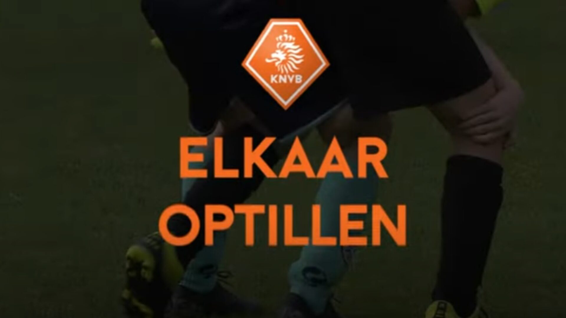 Hoe ziet de oefening eruit?