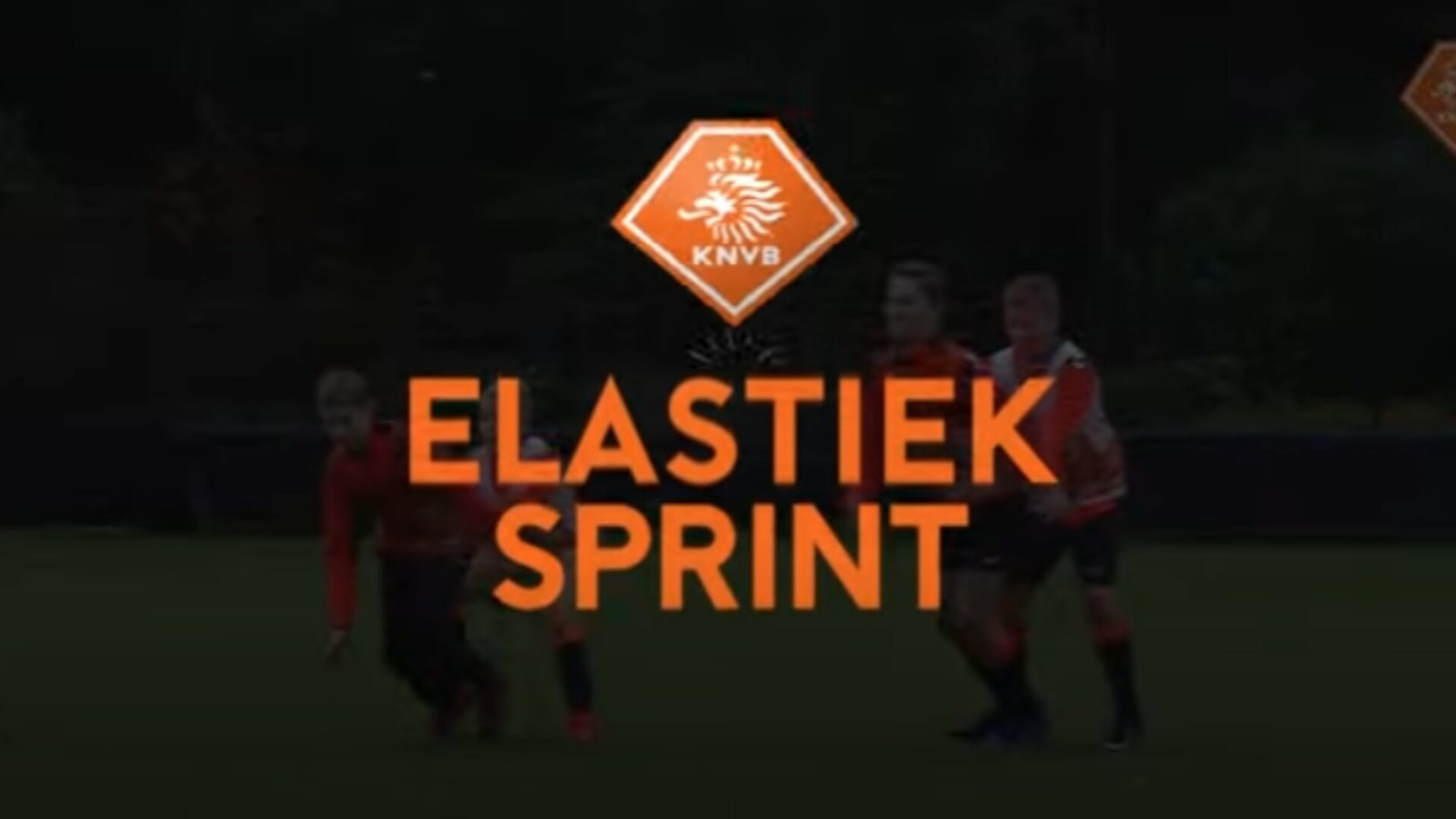 Hoe ziet de oefening eruit?