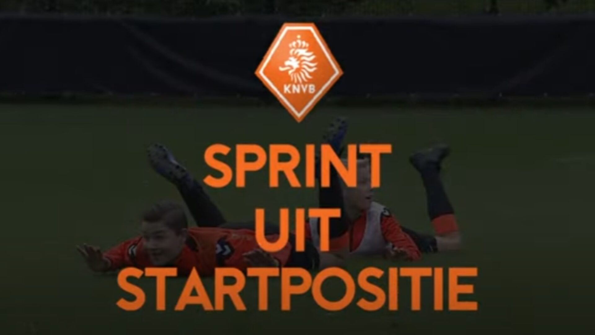 Hoe ziet de oefening eruit?