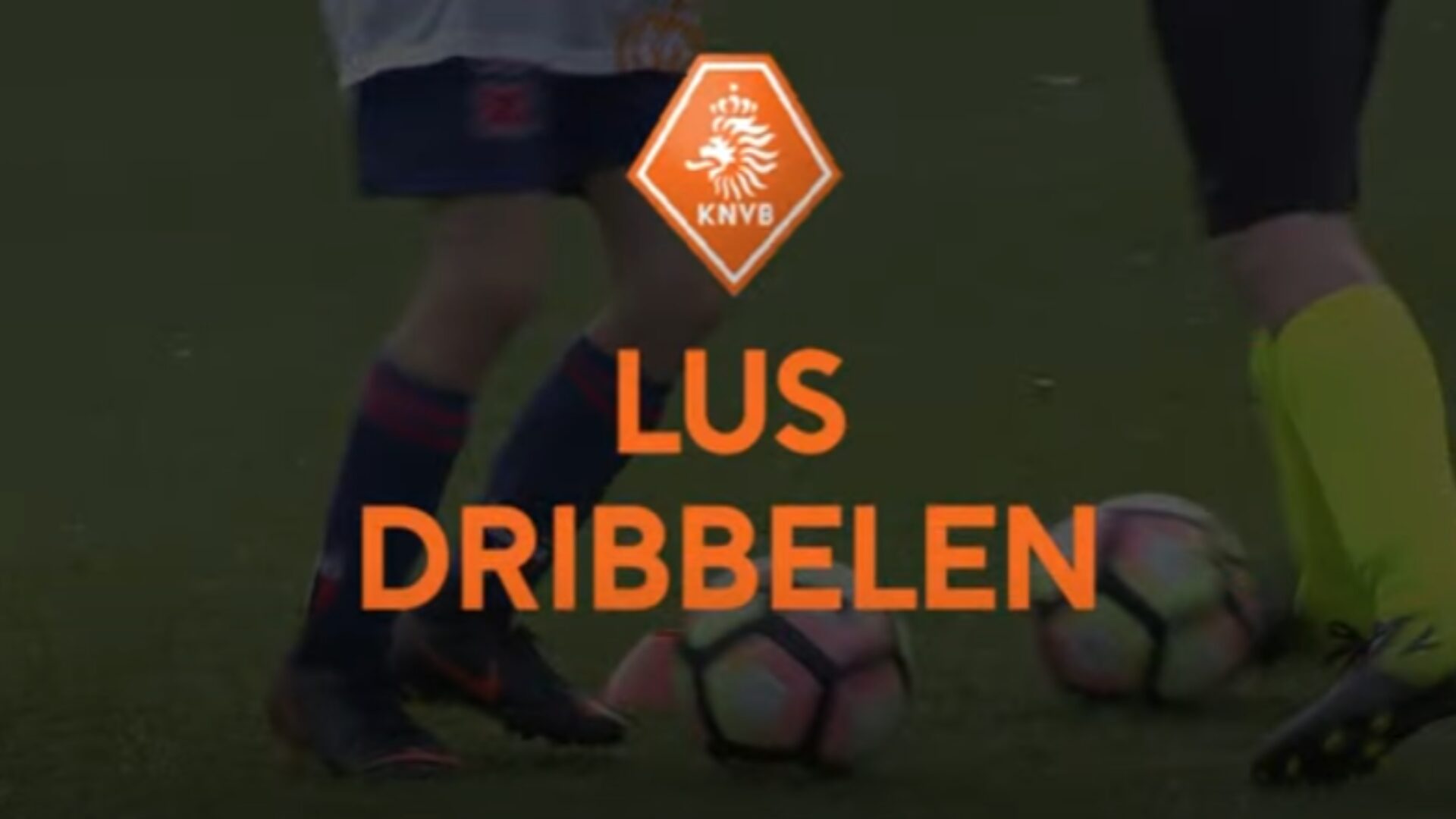 Hoe ziet de oefening eruit?