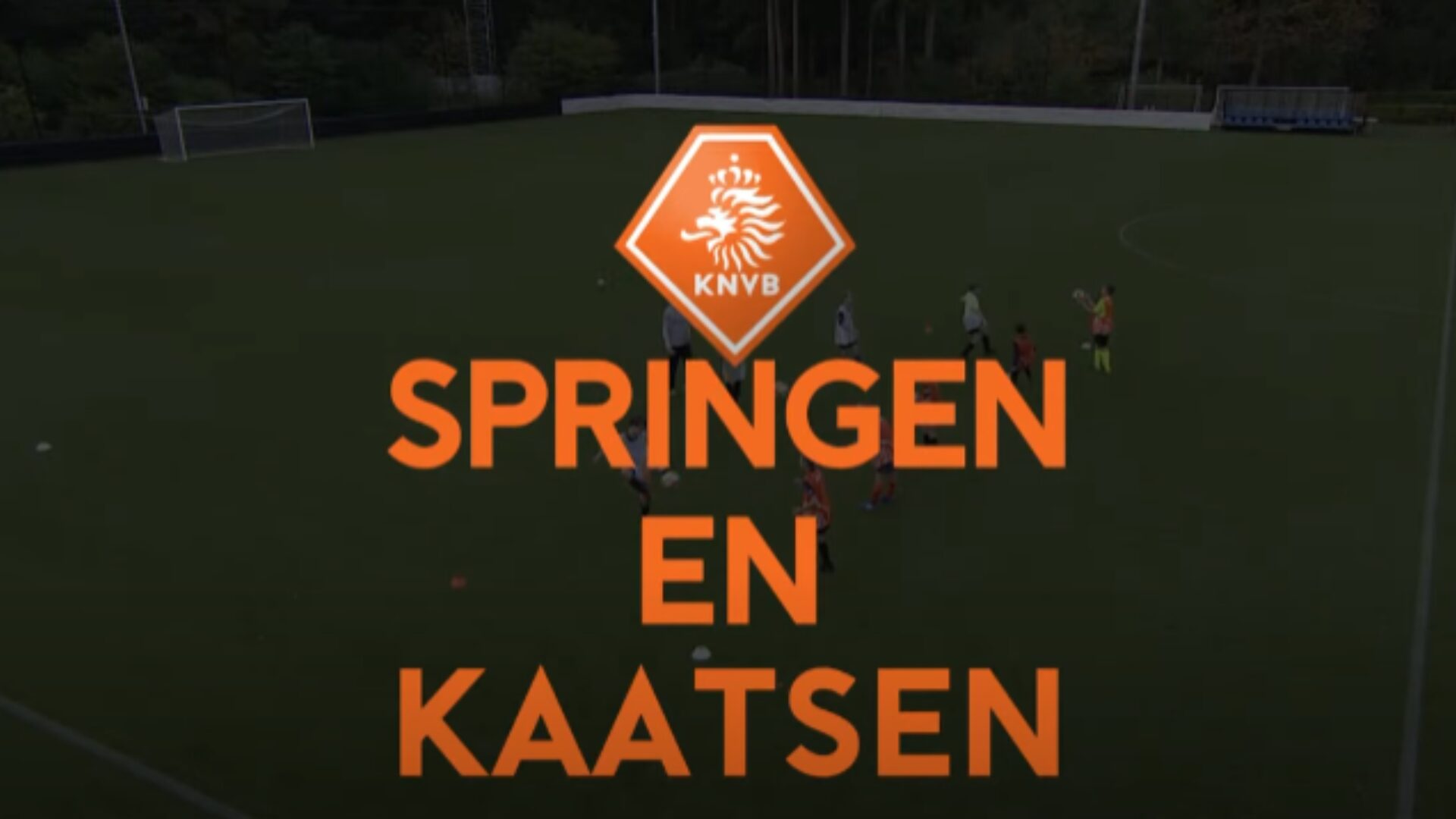 Hoe ziet de oefening eruit?