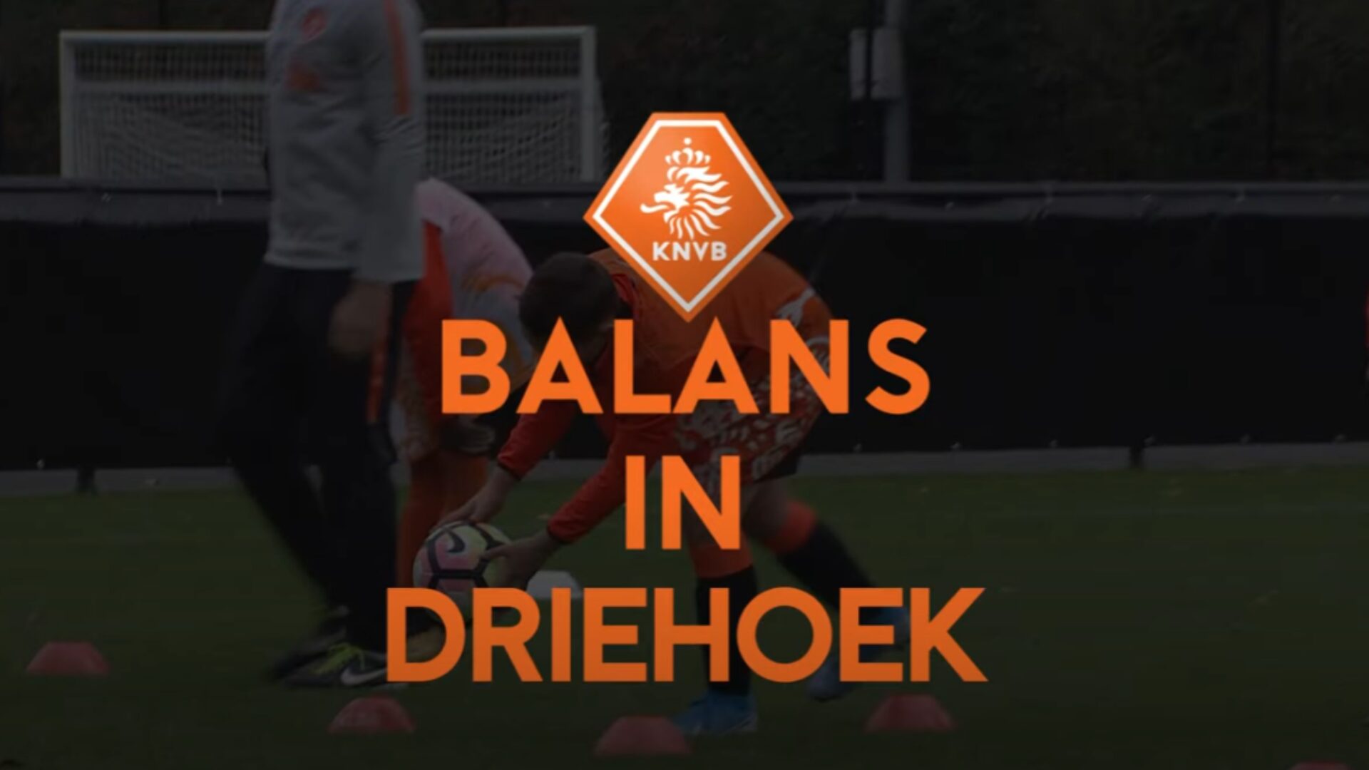 Hoe ziet de oefening eruit?