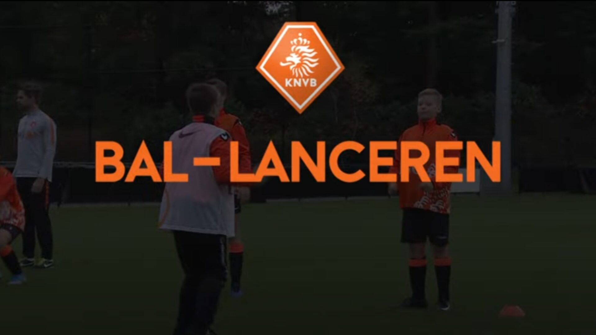 Hoe ziet de oefening eruit?