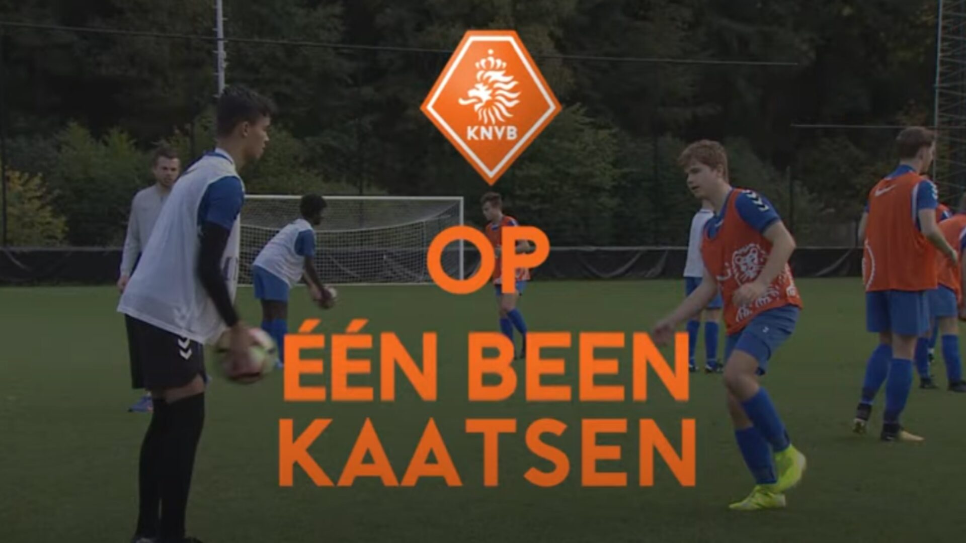 Hoe ziet de oefening eruit?