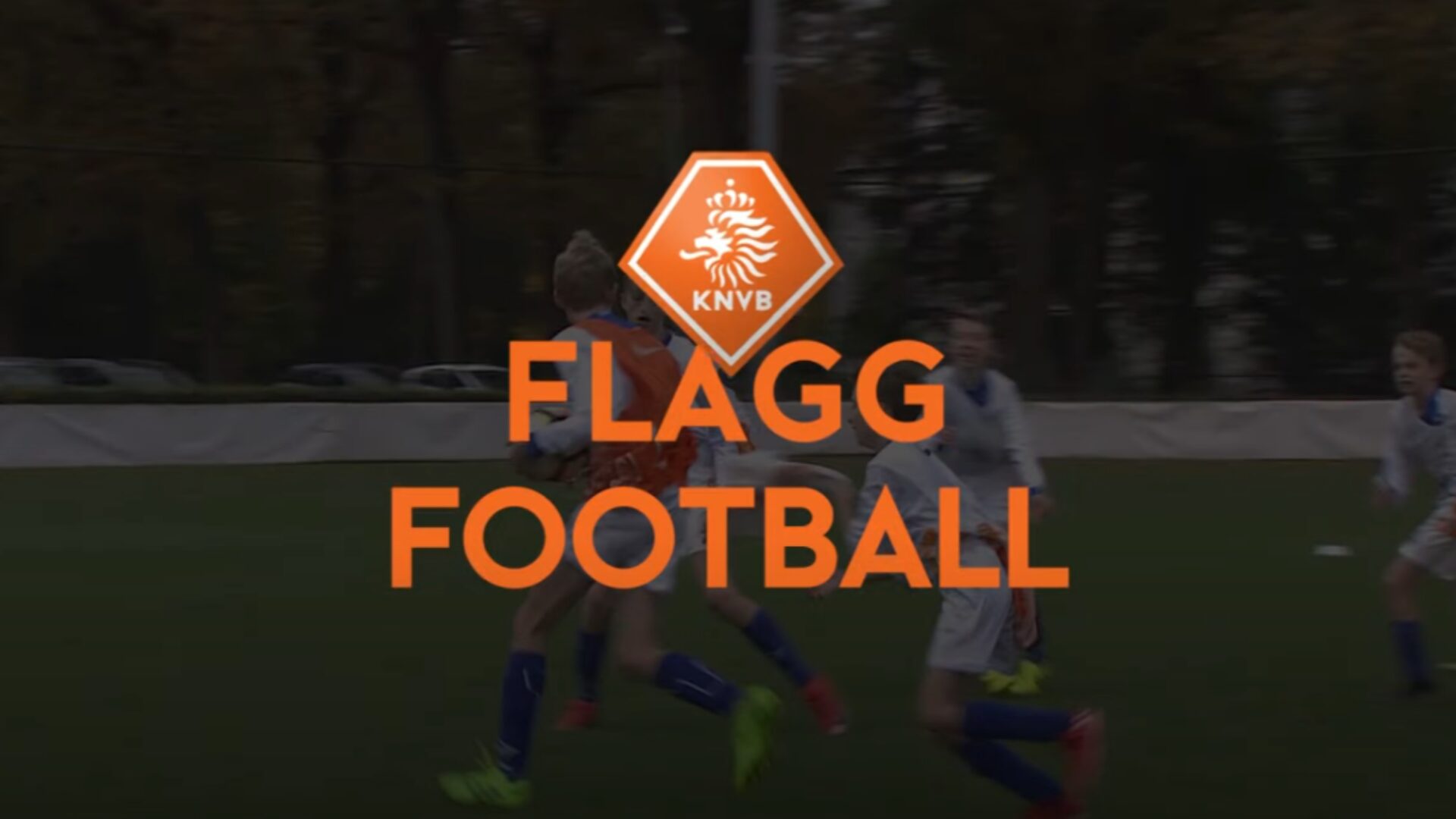 Hoe ziet de oefening eruit?