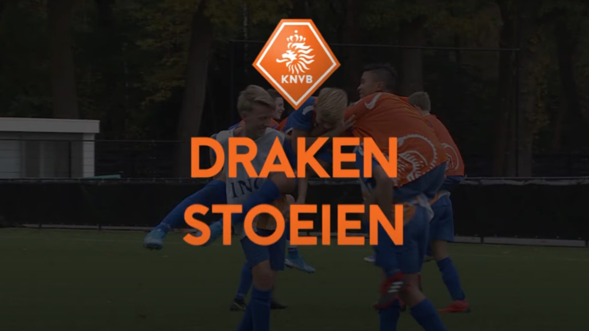 Hoe ziet de oefening eruit?