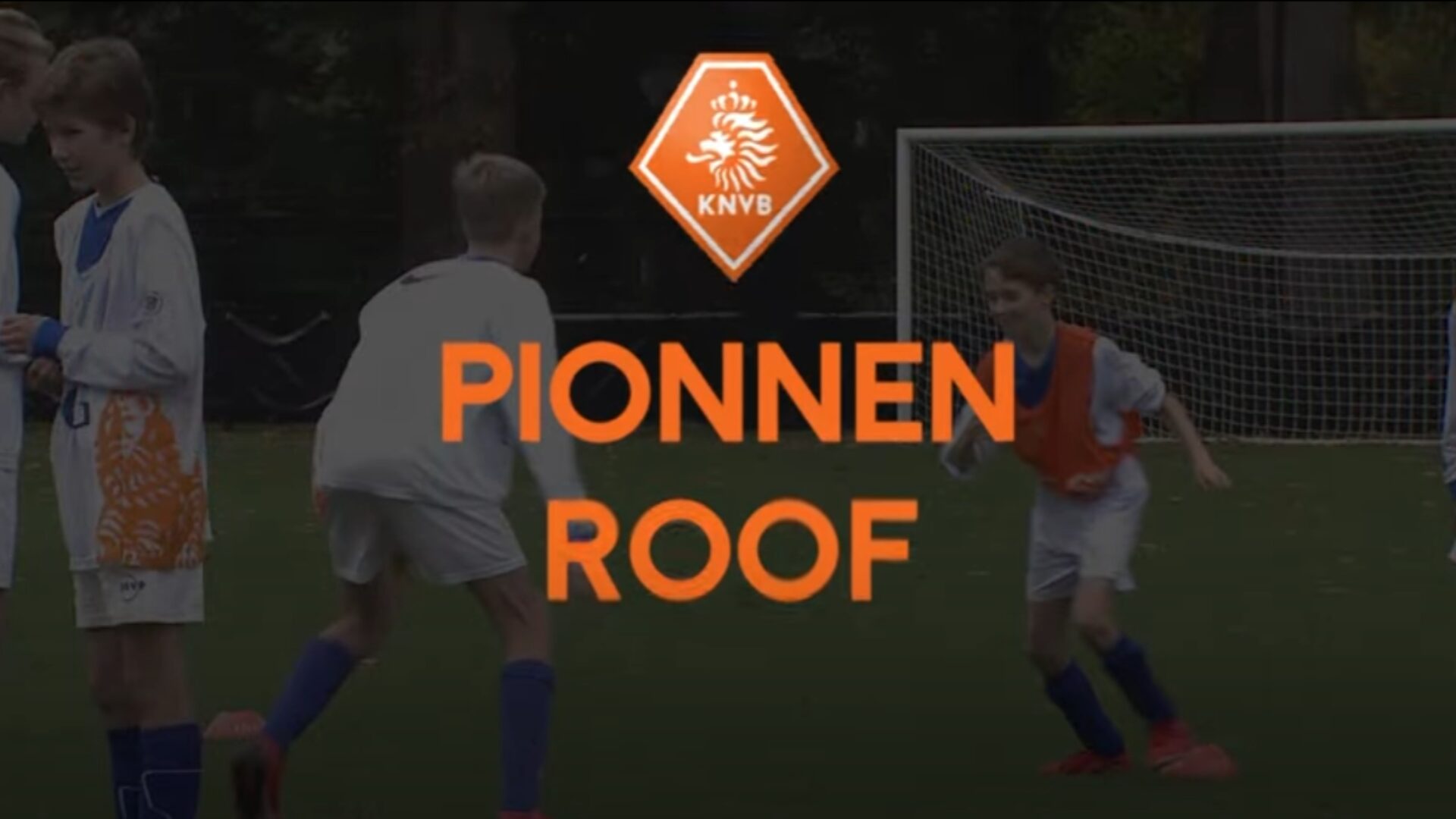 Hoe ziet de oefening eruit?