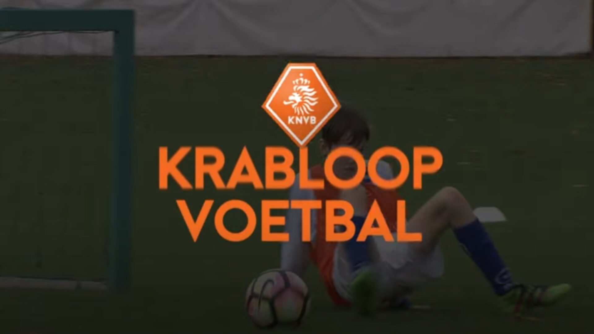 Hoe ziet de oefening eruit?