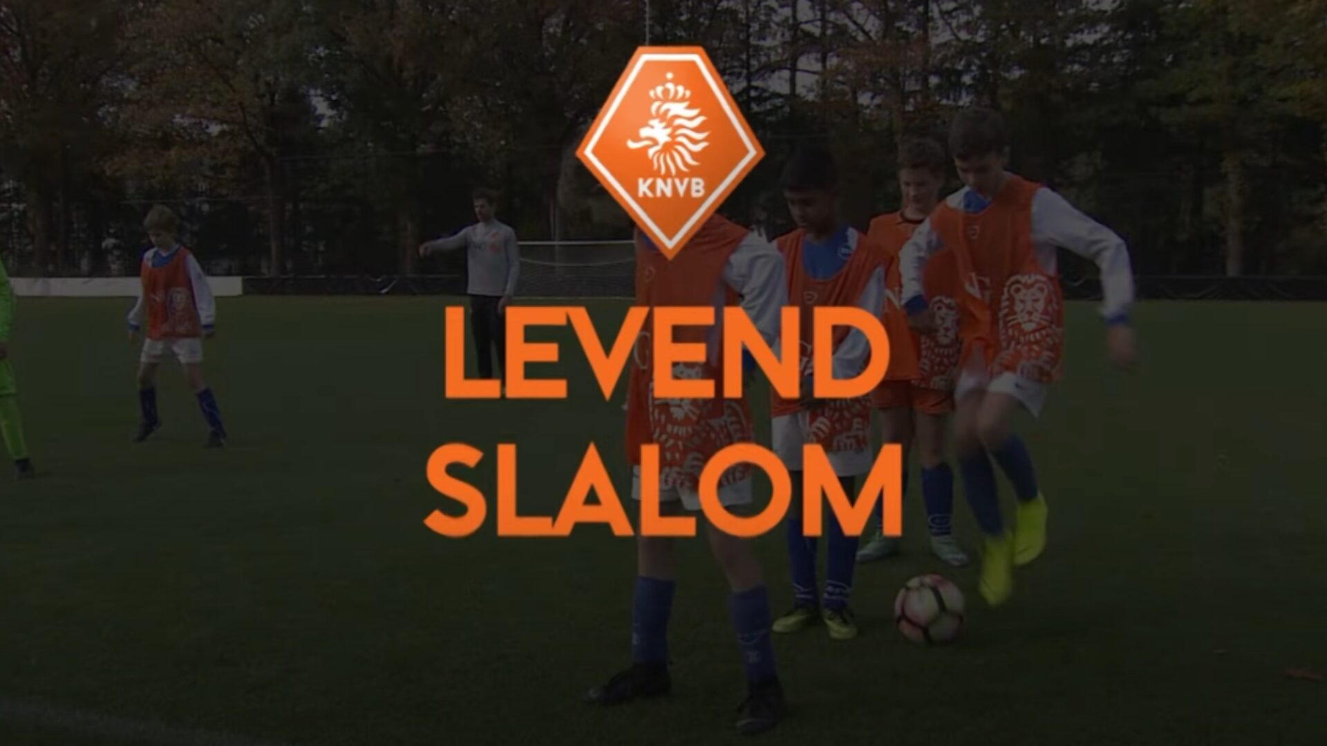 Hoe ziet de oefening eruit?