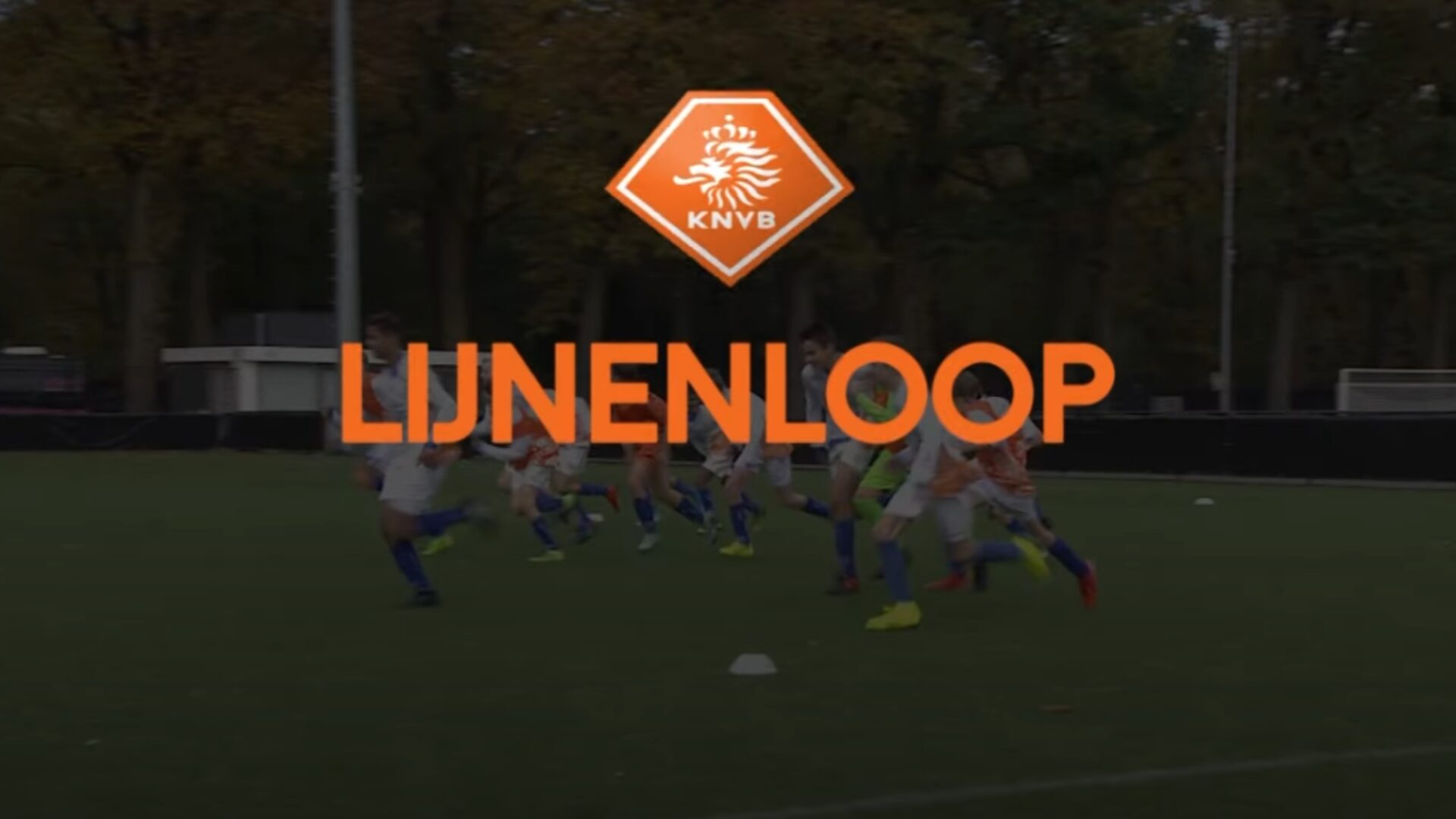 Hoe ziet de oefening eruit?