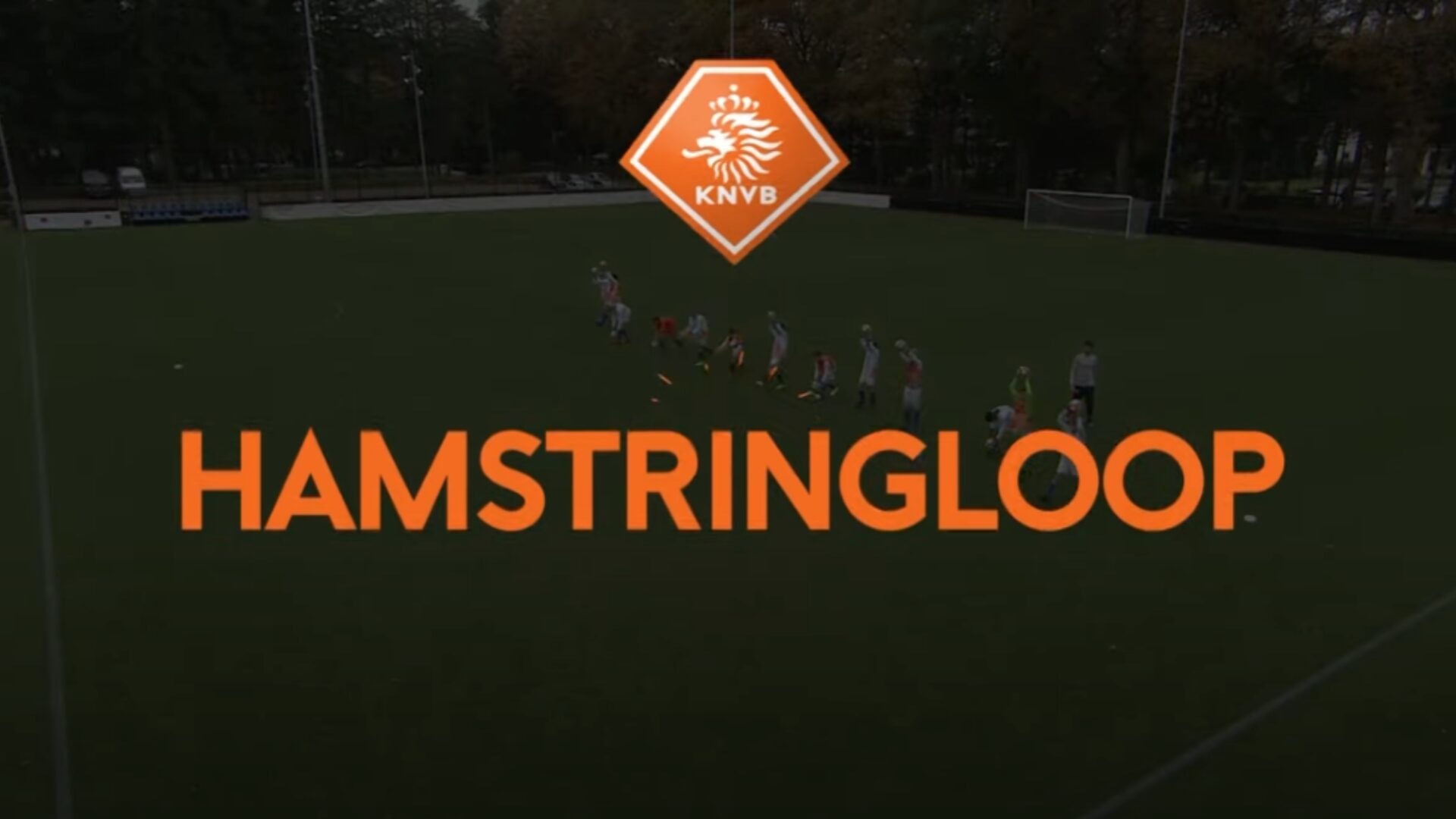 Hoe ziet de oefening eruit?