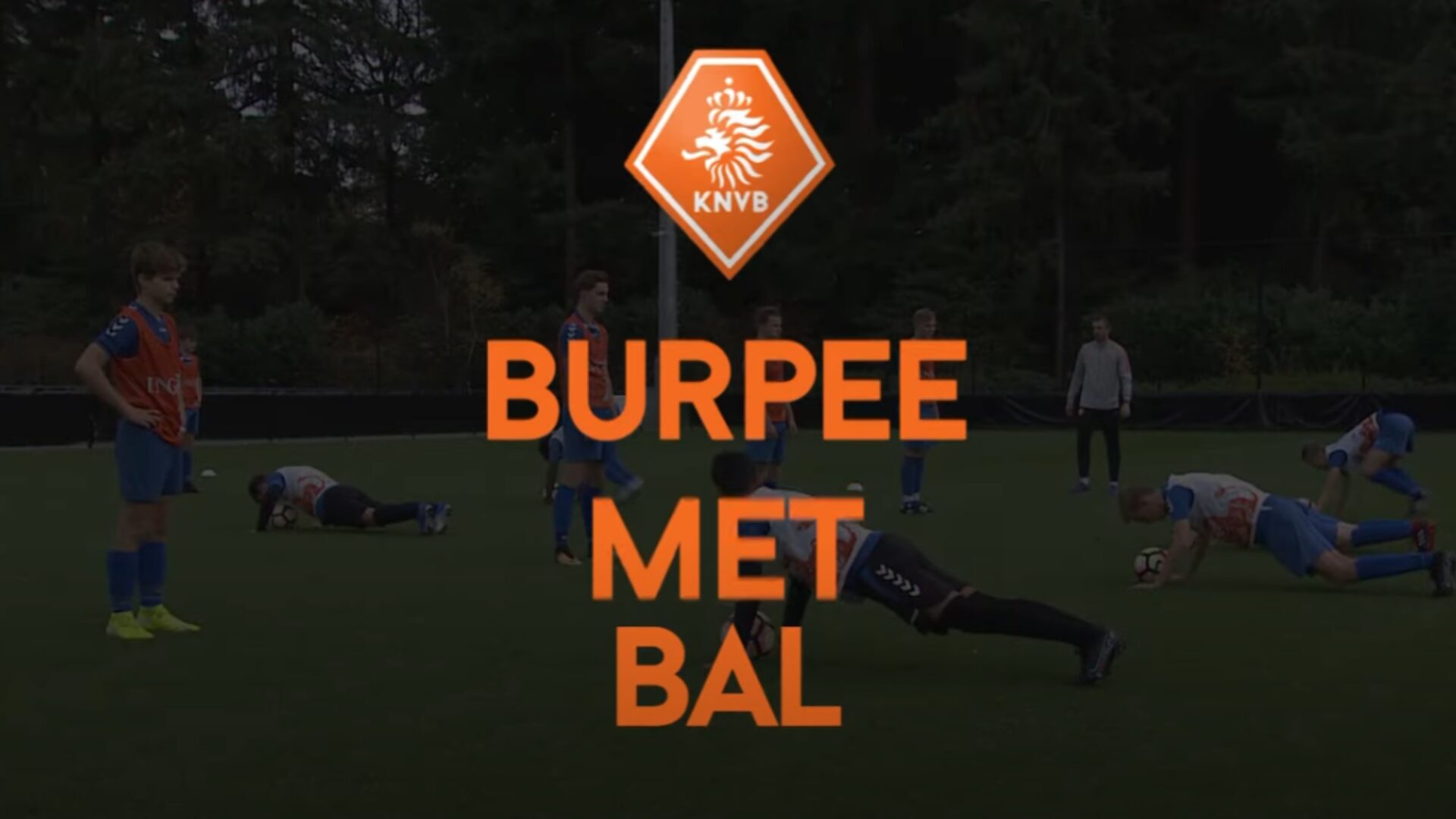 Hoe ziet de oefening eruit?