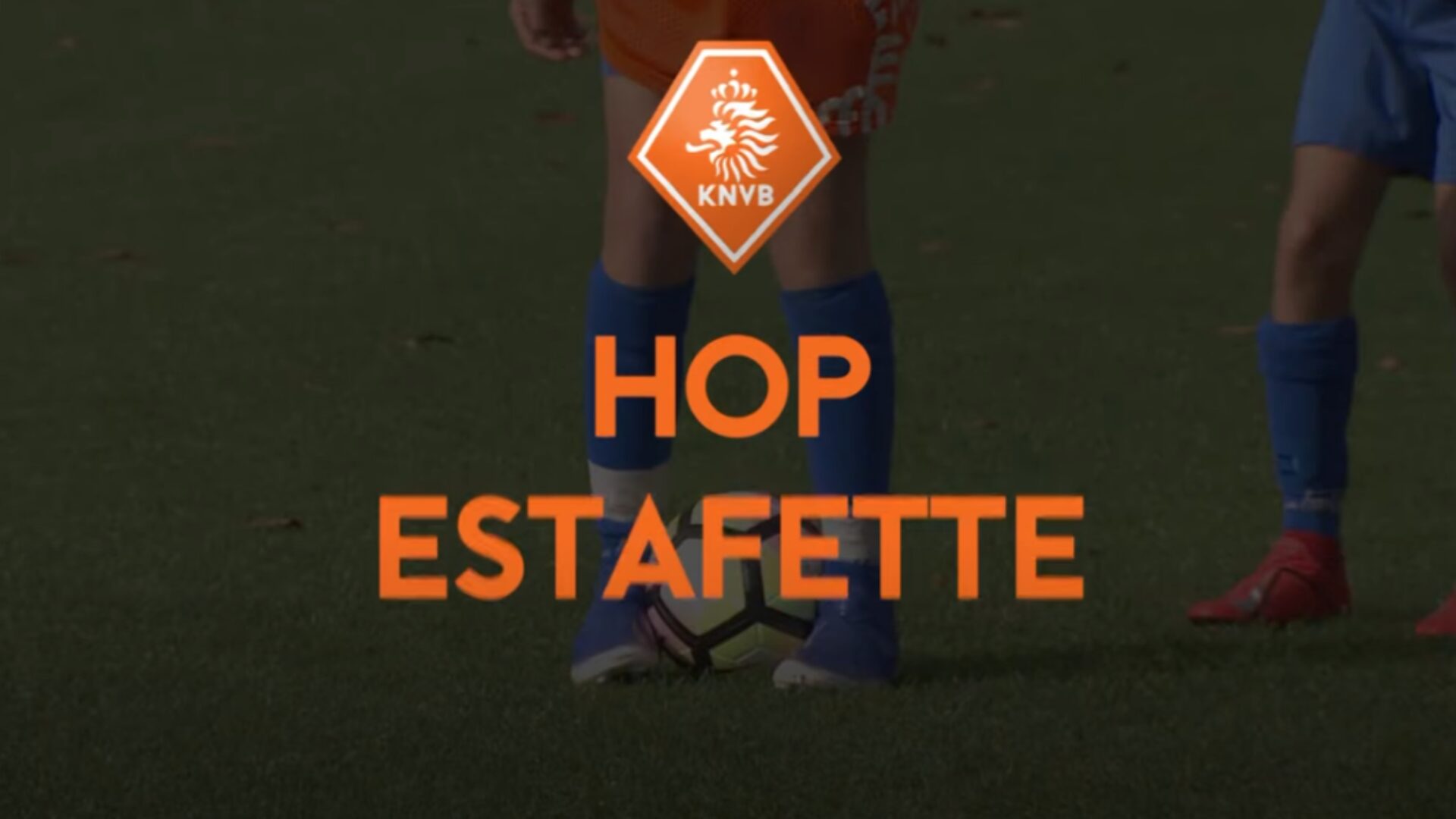 Hoe ziet de oefening eruit?