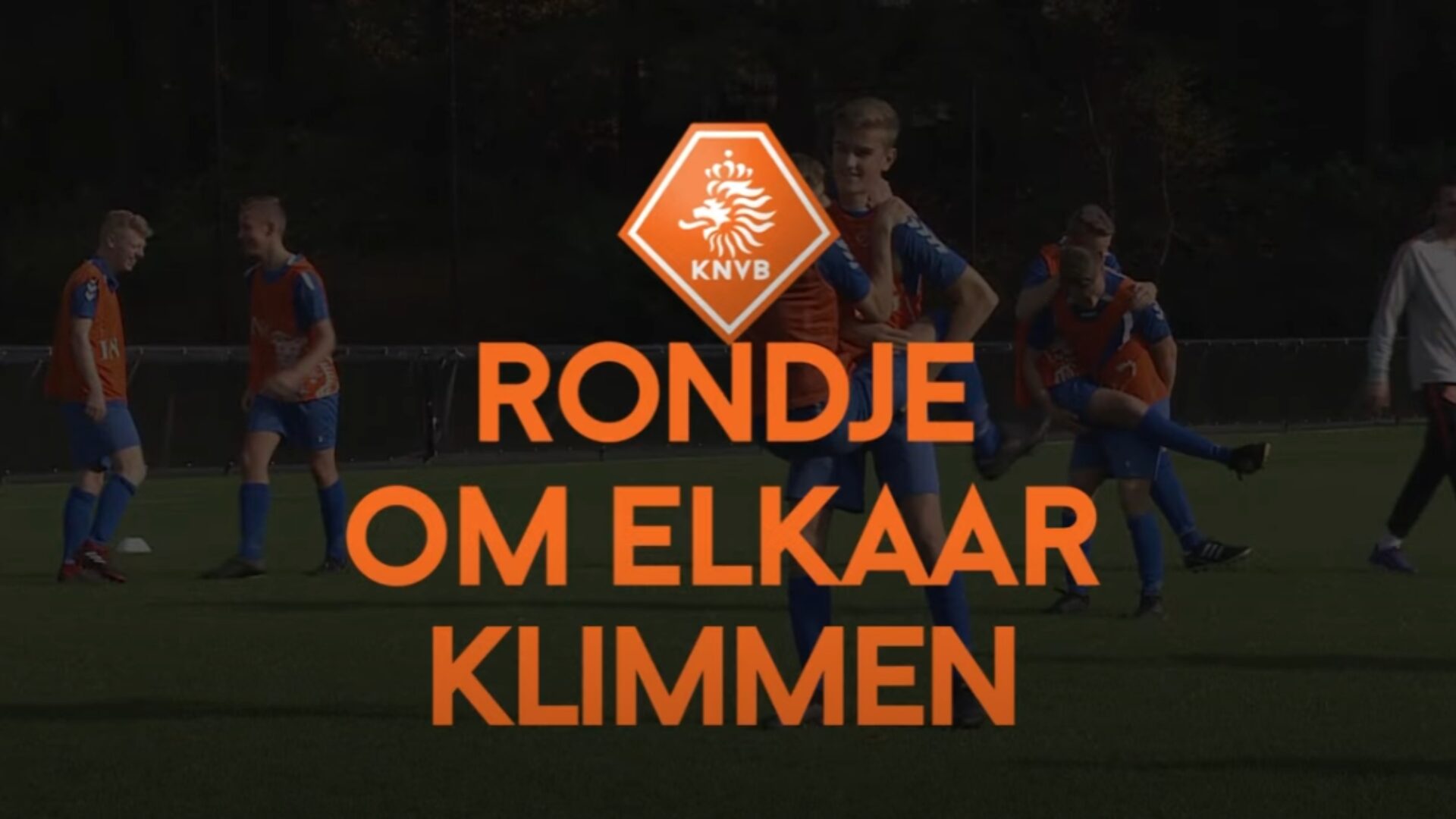 Hoe ziet de oefening eruit?