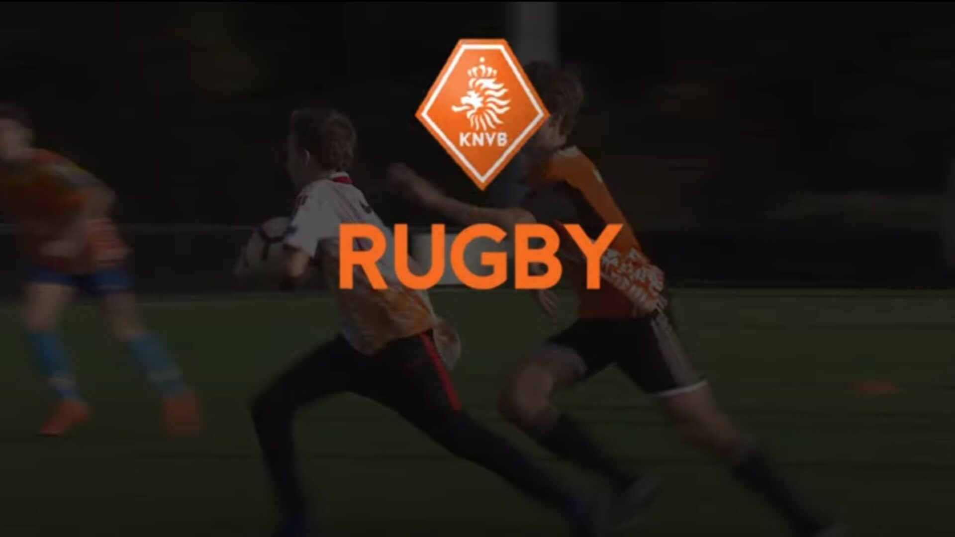 Hoe ziet de oefening eruit?