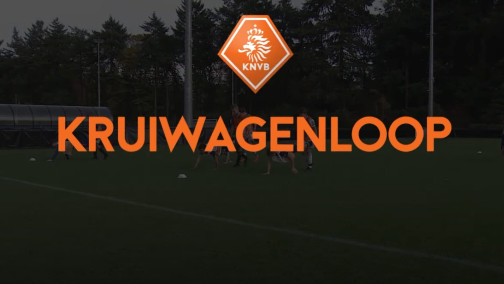 Hoe ziet de oefening eruit?