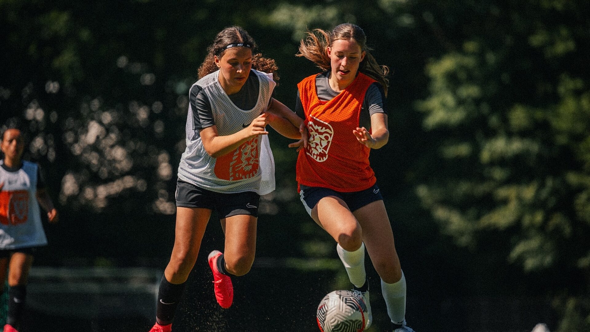 Header 2 KNV Bx NIK Ex Coachinggirls 2811