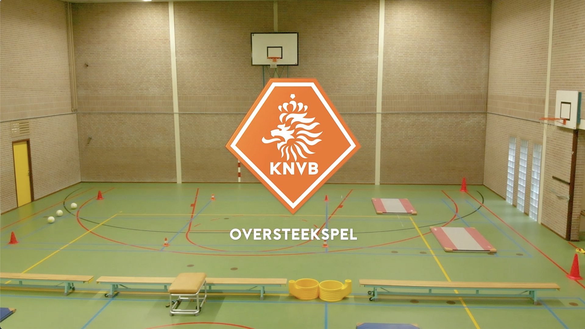Oversteekspel