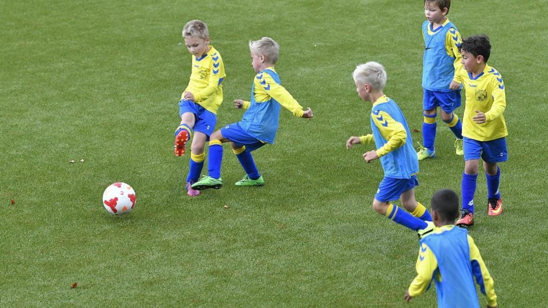 Regisseur eigen leerproces KNVB Rinus