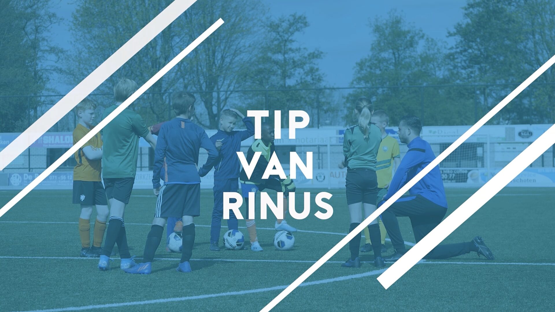 Tip van Rinus