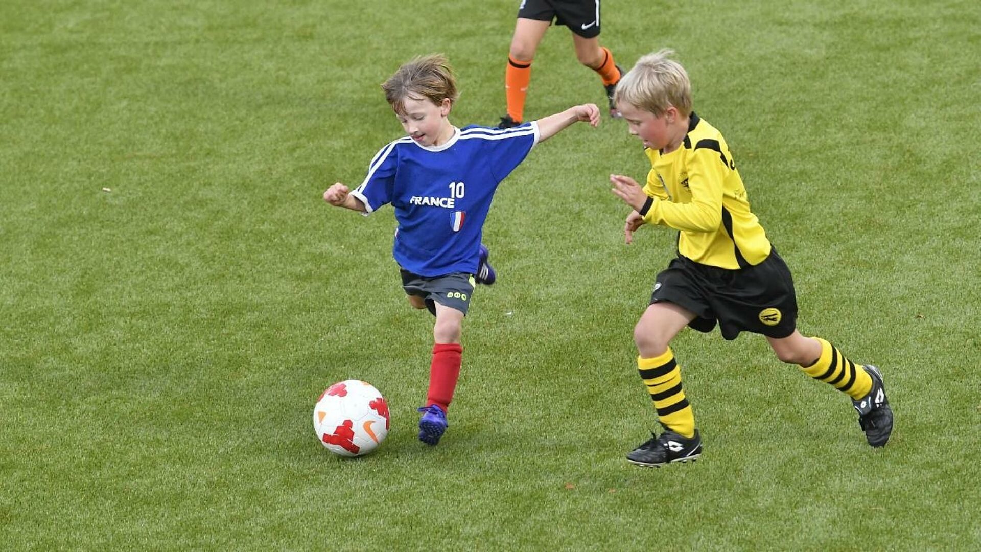 Pupillen training inhoud